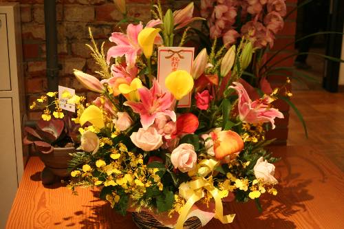 「祝！開店！」